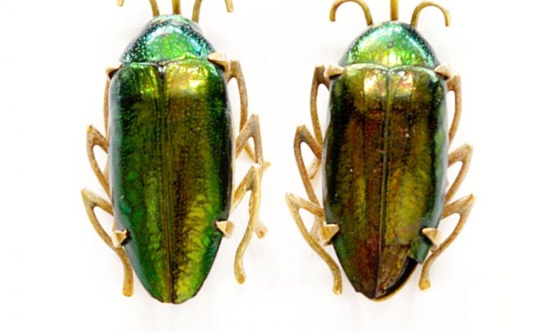 Moissanite Earrings The Modern Brazilian Beetle